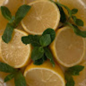 Meet your Posher, Polina